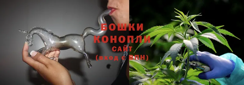 наркота  Благодарный  Каннабис OG Kush 